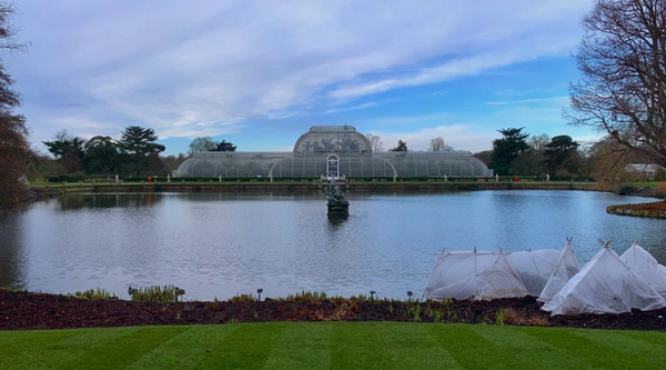 Kew Gardens