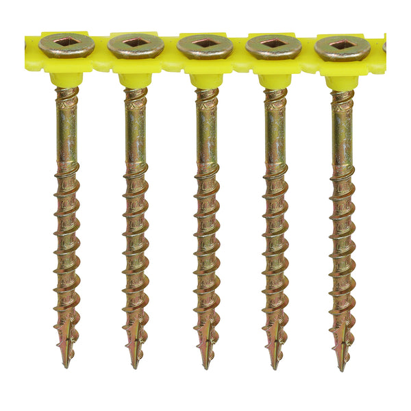 Collated - Flooring Screw