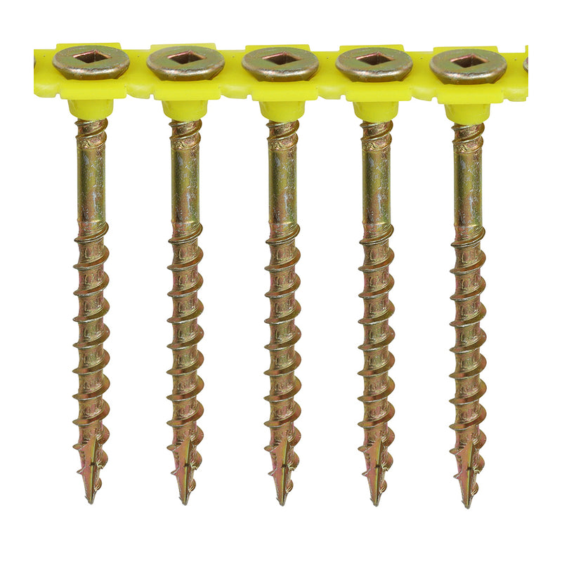 Collated - Flooring Screw