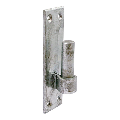 Exterior Gate & Door Hinges - Hook On Rectangular Plate