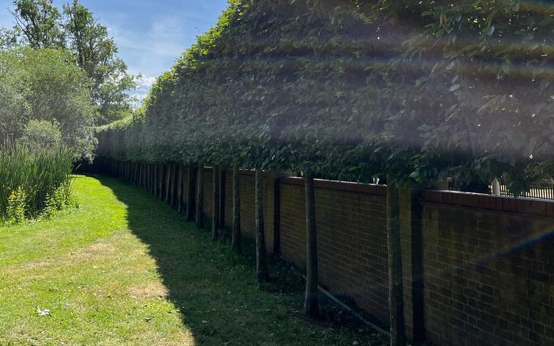 Inscapes Residential