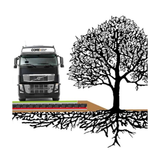 Tree Root Protection