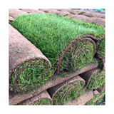 Premium Cultivated Turf