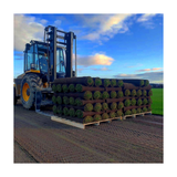 Premium Cultivated Turf