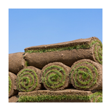 Premium Cultivated Turf