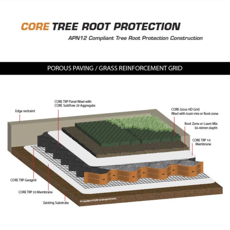 Tree Root Protection