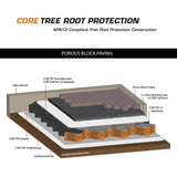Tree Root Protection