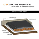 Tree Root Protection