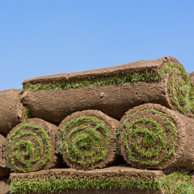 Premium Cultivated Turf – Inscapes